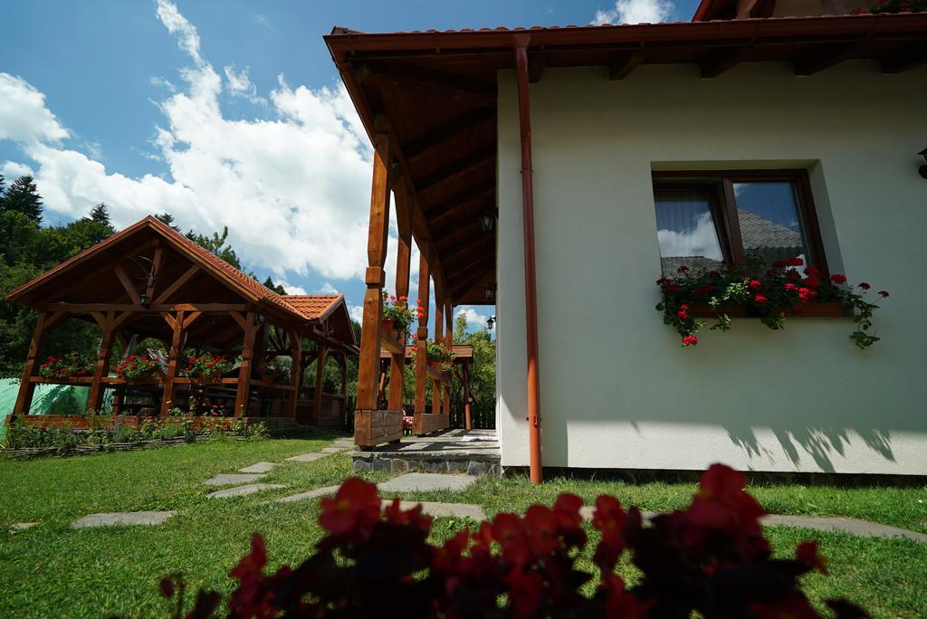 Hotel Casa Bunicii Moisei Esterno foto