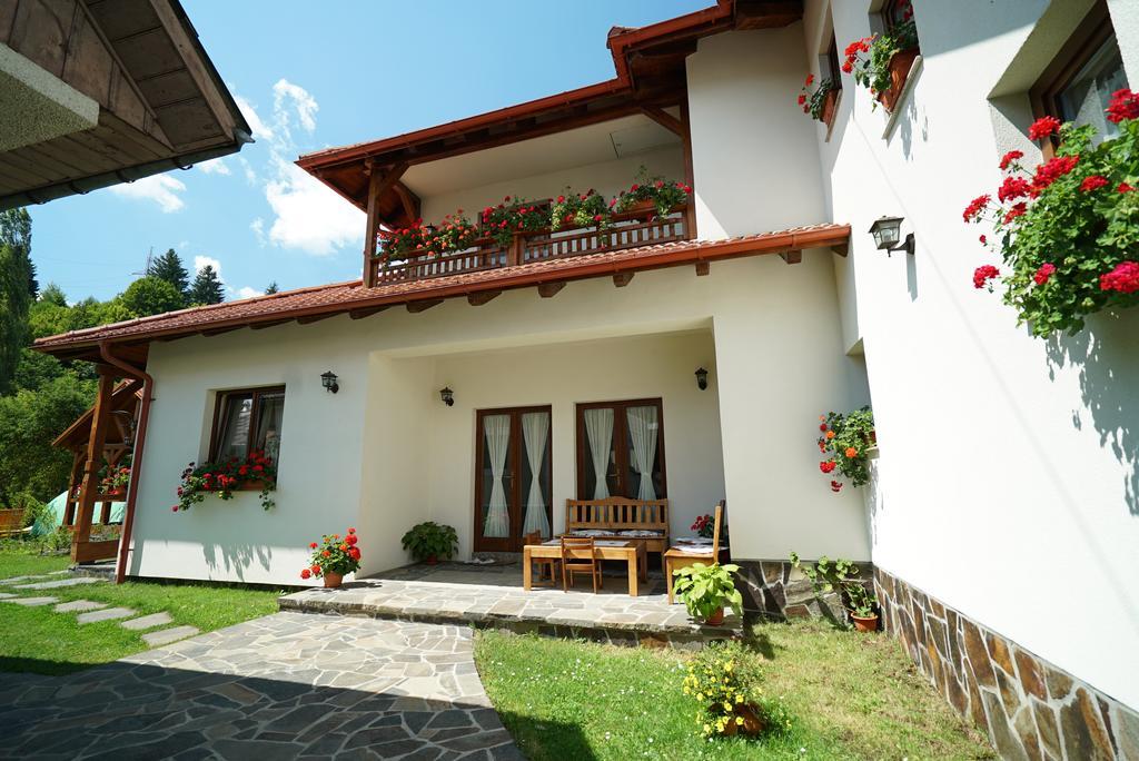 Hotel Casa Bunicii Moisei Esterno foto