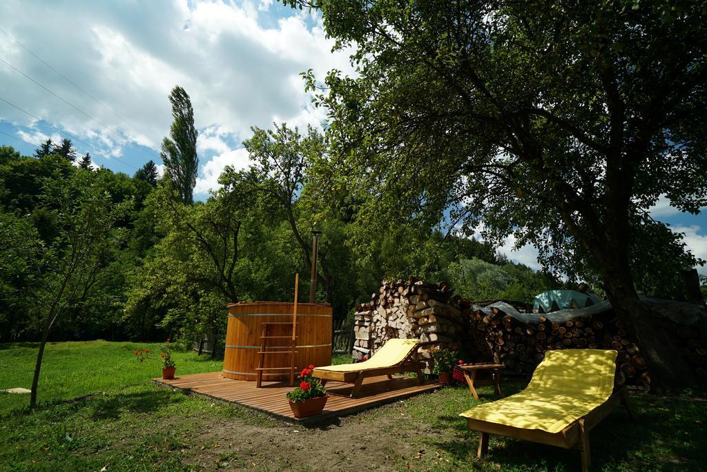 Hotel Casa Bunicii Moisei Esterno foto